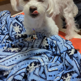 こんばんは☪の画像