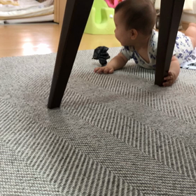 きこ６ヶ月の画像