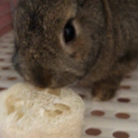 はじめてかもーーの画像