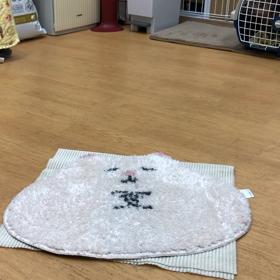 大変よく出来ました。の画像