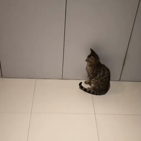 微妙な距離感の画像