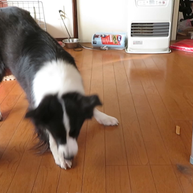 今年もあと２ヶ月あまりの画像