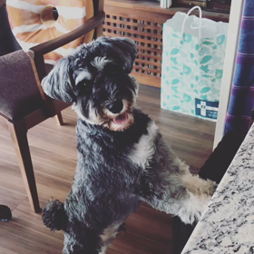 ゴールドジム原宿の画像