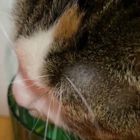 プチ朗報✨の画像