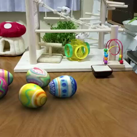 1/15 今日のひとコマn[◎]ｺω・｀） ●RECの画像