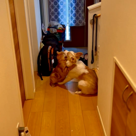 仲良し？仲悪い？の画像