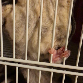 ウニョウニョBABYの画像