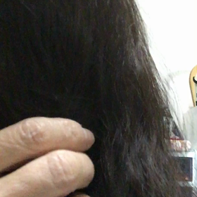 ライちゃん お気に入りの場所の画像