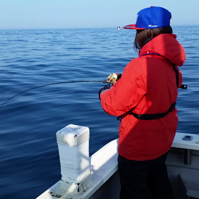 本日の動画その5の画像