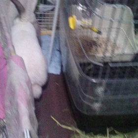 動画とってみた10の画像