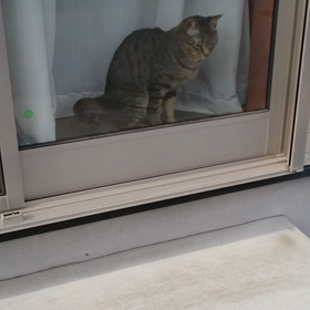 疲れぎみの画像