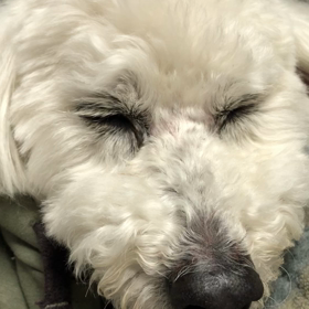 ビックリしたぁの画像