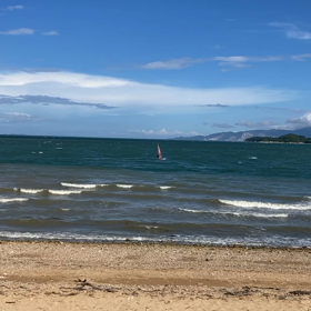 戻ってきたの画像