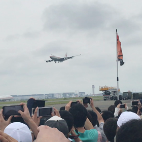 シグナス動画の画像