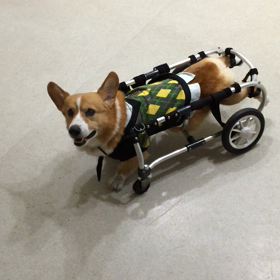 ♪プレイルーム動画♪の画像