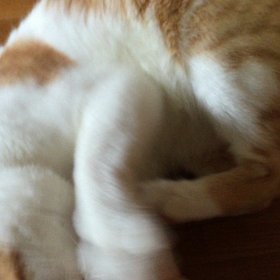 モヤモヤ…  d(￣ ￣)の画像