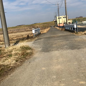 馬上からの動画の練習しました。の画像