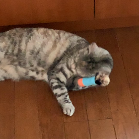 通院は続きます。の画像