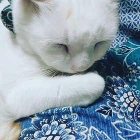 イライラしない日の画像