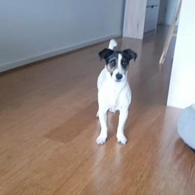 ボールキャッチの画像