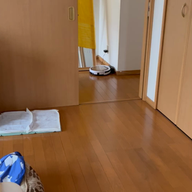 毎朝、大興奮の画像