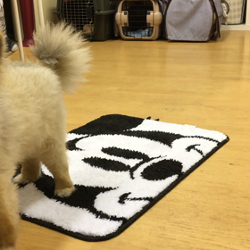 さすがですわ。の画像