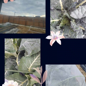 今年一年ありがとうございましたm(_ _)mの画像