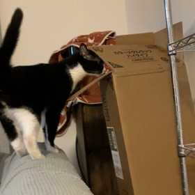 明日CT検査！の画像