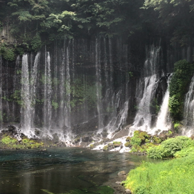 猛暑お見舞いー〜の画像