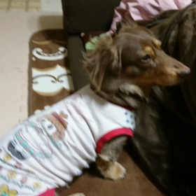 動画テスト☆の画像