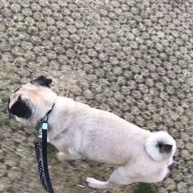 ♪30分お散歩♪参宮橋公園♪の画像