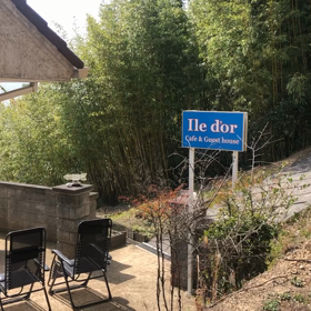 小鳥たち♫の画像