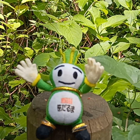 7/17の画像