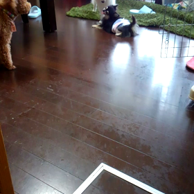 ごめんね、リズムの画像