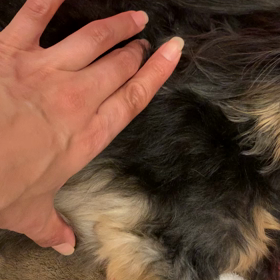 腹水が溜まってるかもの画像