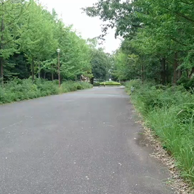 100m記録会 Bグループ⑦の画像