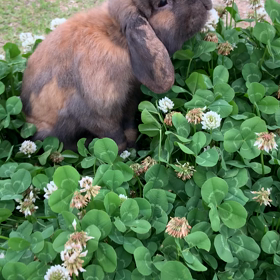NHK朝ドラの藤丸次郎に共感してしまう。の画像
