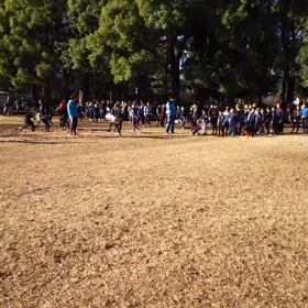 航空公園練習 ダッシュ②の画像