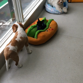 ♪プレイルーム動画♪①の画像