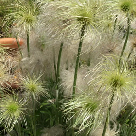 2021/05/29  わかることより変わることの画像