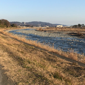 癒しのプレゼント♪の画像