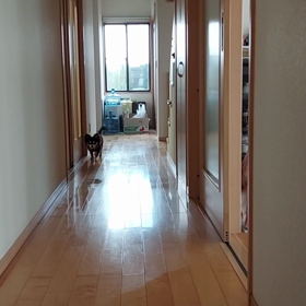 ポッキーとお掃除ロボットの画像