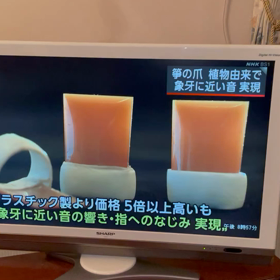 象牙に代わるものの画像