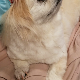 うめちゃんと目が合う動画の画像