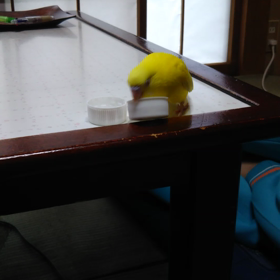 初動物病院の画像