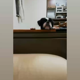 welcome to 海くん♪の画像