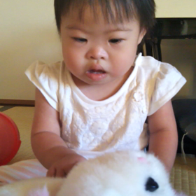 動くぬいぐるみ♡の画像