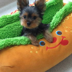 ♪プレイルーム動画♪①の画像