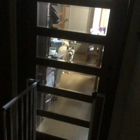 ドリーちゃんに癒されるわ〜❣️の画像