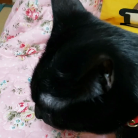 聞きわけの良い子の画像